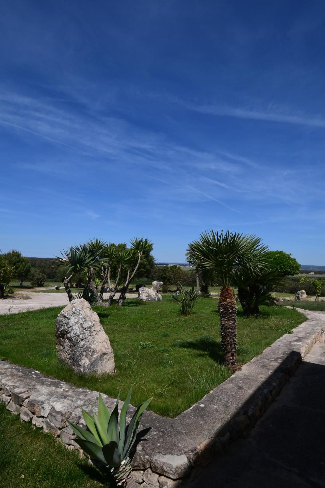 Fattoria La Traccia Villa Fertilia Dış mekan fotoğraf