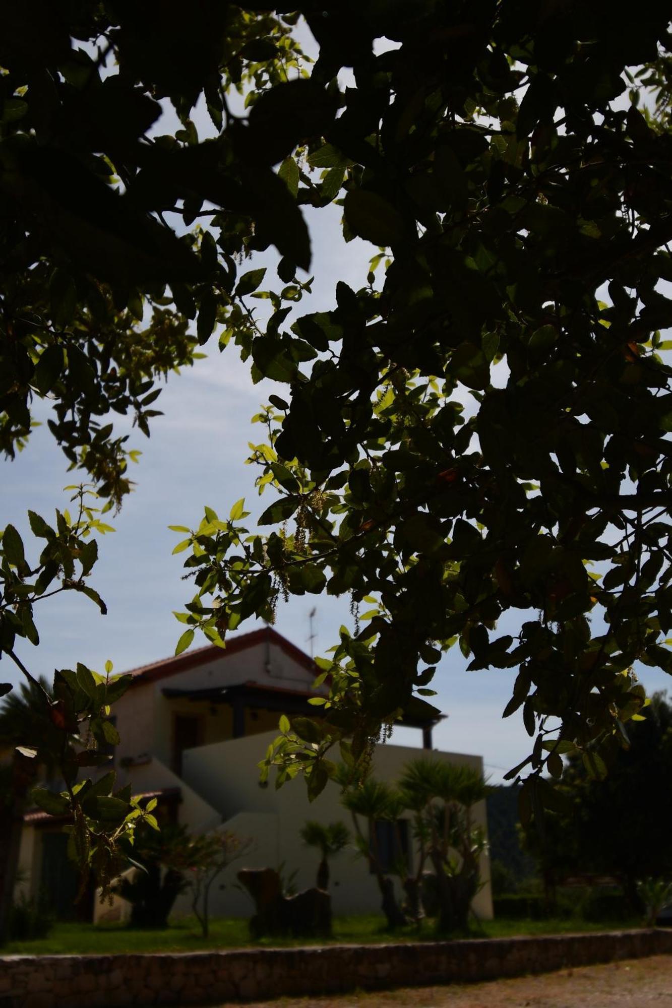 Fattoria La Traccia Villa Fertilia Dış mekan fotoğraf